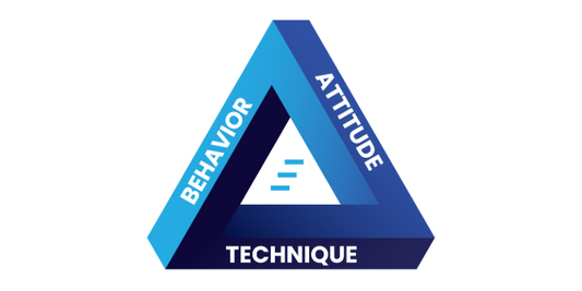 Sandler Success Triangle
